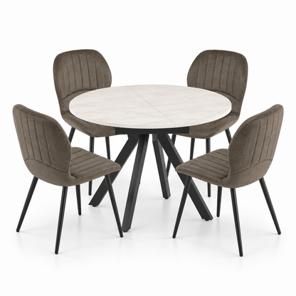 Harley Extendable Dining Table with 4 Jaydn Chairs